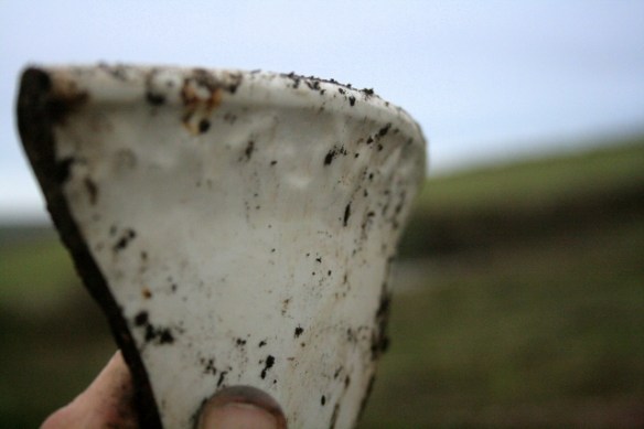 Moulded pattern on outside of large rim shard of ceramic wash bowl