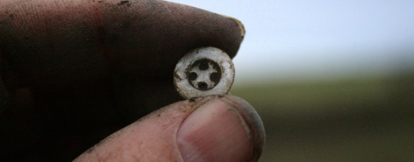 Mother of pearl button