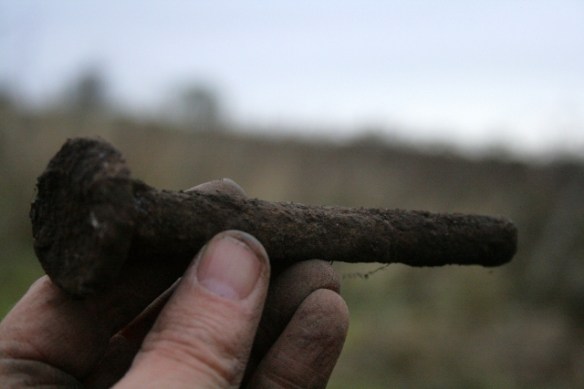 Large iron bolt