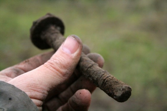 Iron bolt showing screw threaded end