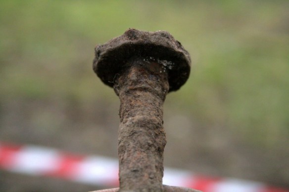 Iron bolt showing square cross-section under head