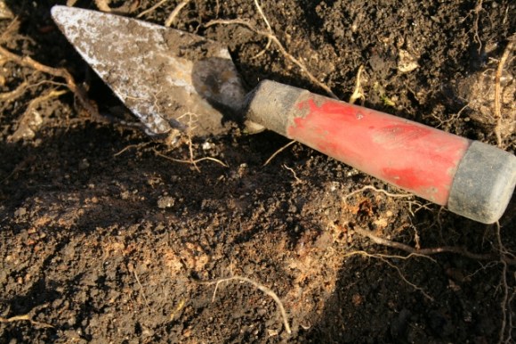 Partial section through top of midden deposit