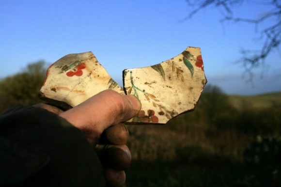 Large shards of a small decorated plate