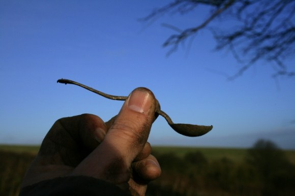 Silver plated 'fiddle back' salt/sauce spoon