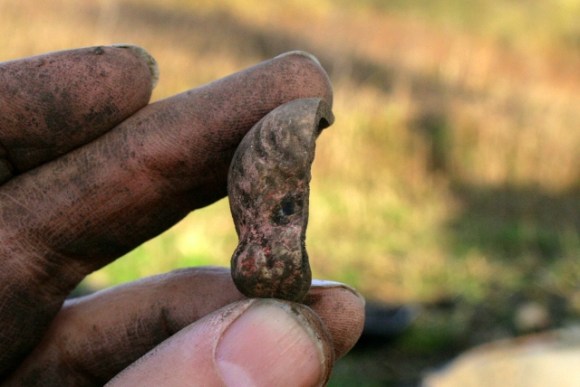 Left side of bisque doll's head