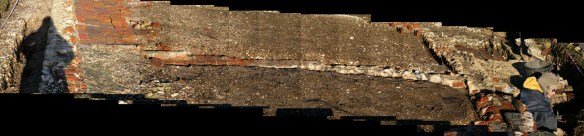 Collage of photos looking N at remains of internal dividing cottage wall