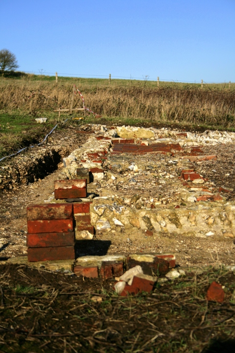 Looking N at W side of cottage with bricks to indicate approx height of floor level
