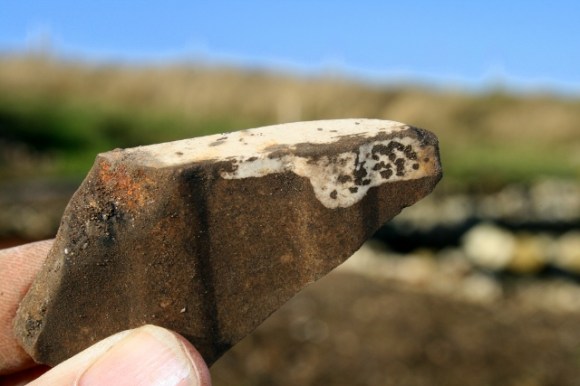 Reverse of gape vine decorated ceramic wall tile