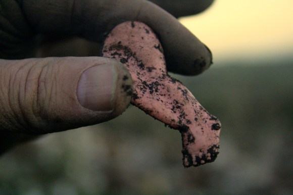 PVC(?) leg of small doll