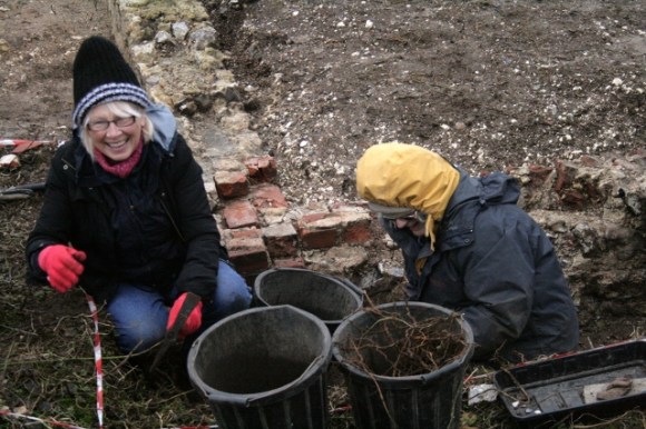 Digging E of S end of cottage