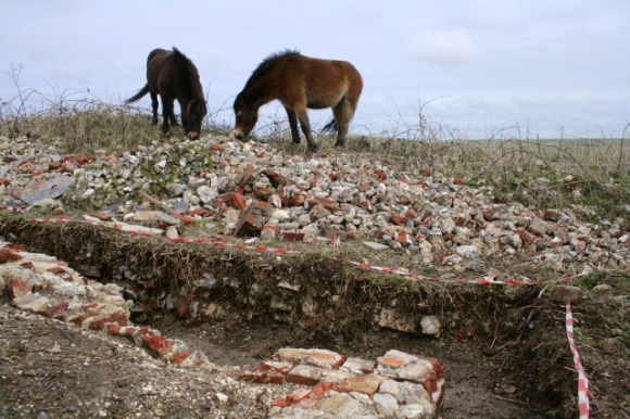 Looking E at Exmoor ponies on demolition rubble mound beyond SE corner of cottage