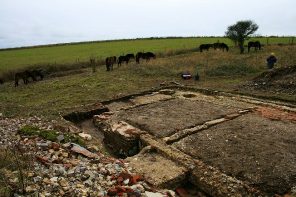 Exmoor ponies visiting dig site