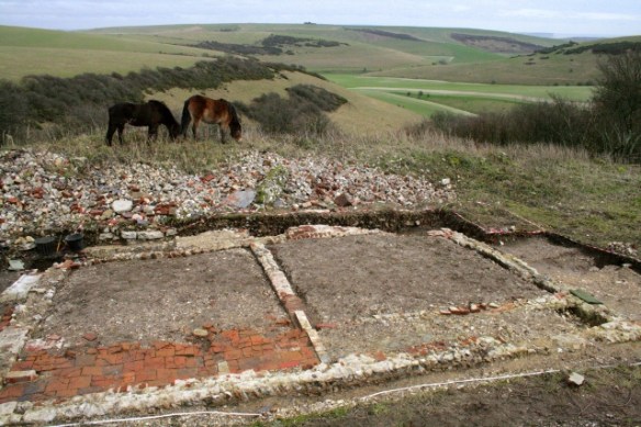 Exmoor ponies visiting dig site
