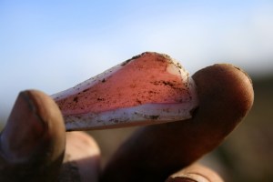 Pink & white cased glass from under front doorstep; 27th January 2014