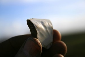 Decorated ceramic shard from under front doorstep; 27th January 2014