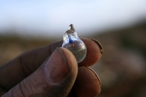 Small (hand blown?) light bulb (half filled with water) from under front doorstep; 27th January 2014