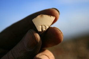 Decorated ceramic shard from under front doorstep; 27th January 2014
