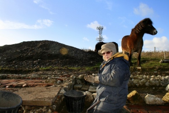 Exmoor pony looking at excavation in front of cottage