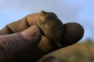 Finds from 1x1m sondage in centre of front yard, N of cottage; 2nd February 2014
