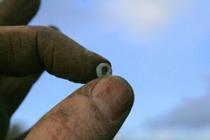 Finds from 1x1m sondage in centre of front yard, N of cottage; 2nd February 2014