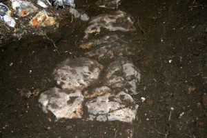 Looking NE at excavation of cobbled flint surface between front garden gate & front door of cottage; 9th February 2014