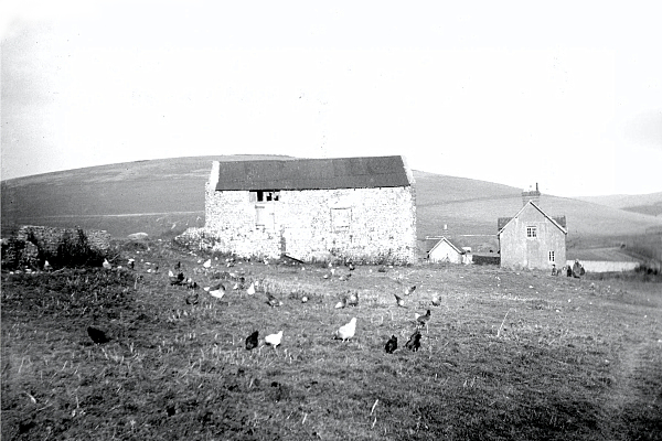 Norman chapel, used as a cow shed. (Photo: Part of the Holland, Mercer collection).