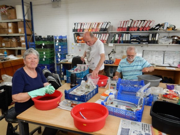 Pot Washing NMF13 finds at ASE