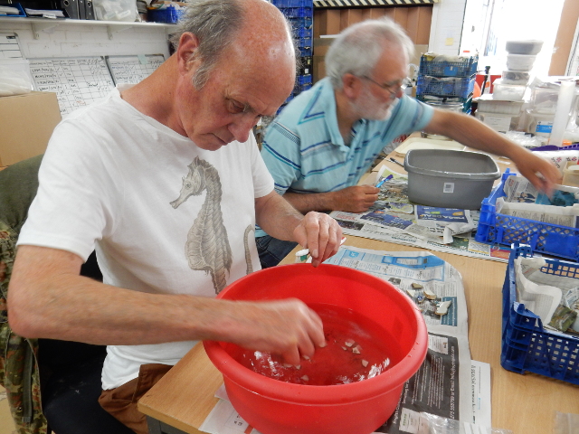 Pot Washing NMF13 finds at ASE