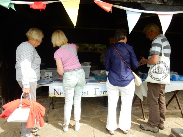 Visitors to stall at Michelham WW2 Event