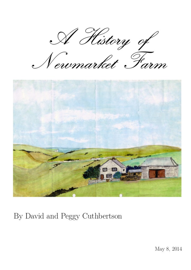 Front Cover of last draft of book, 2014.