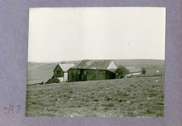 Photo 397. Newmarket Farm, probably pre 1934. In Captain Bertie Hubbard Maclaren's scrapbook. Brighton & Hove Royal Pavilion and Museums, ref. HA930078.