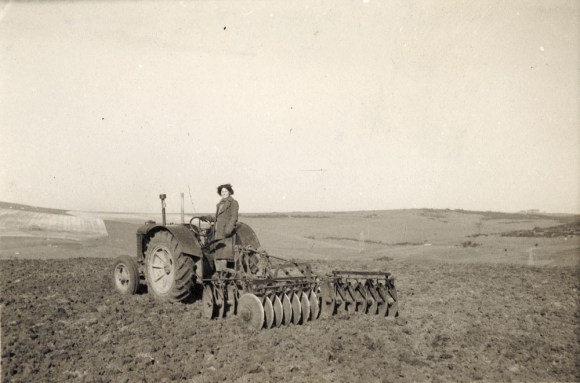 Landgirl during Second World War disk harrowing. Photograph probably taken at Woodingdean[?] by Brighton Parks & Gardens Dept. Image from The Royal Pavilion and Museums, Brighton & Hove.