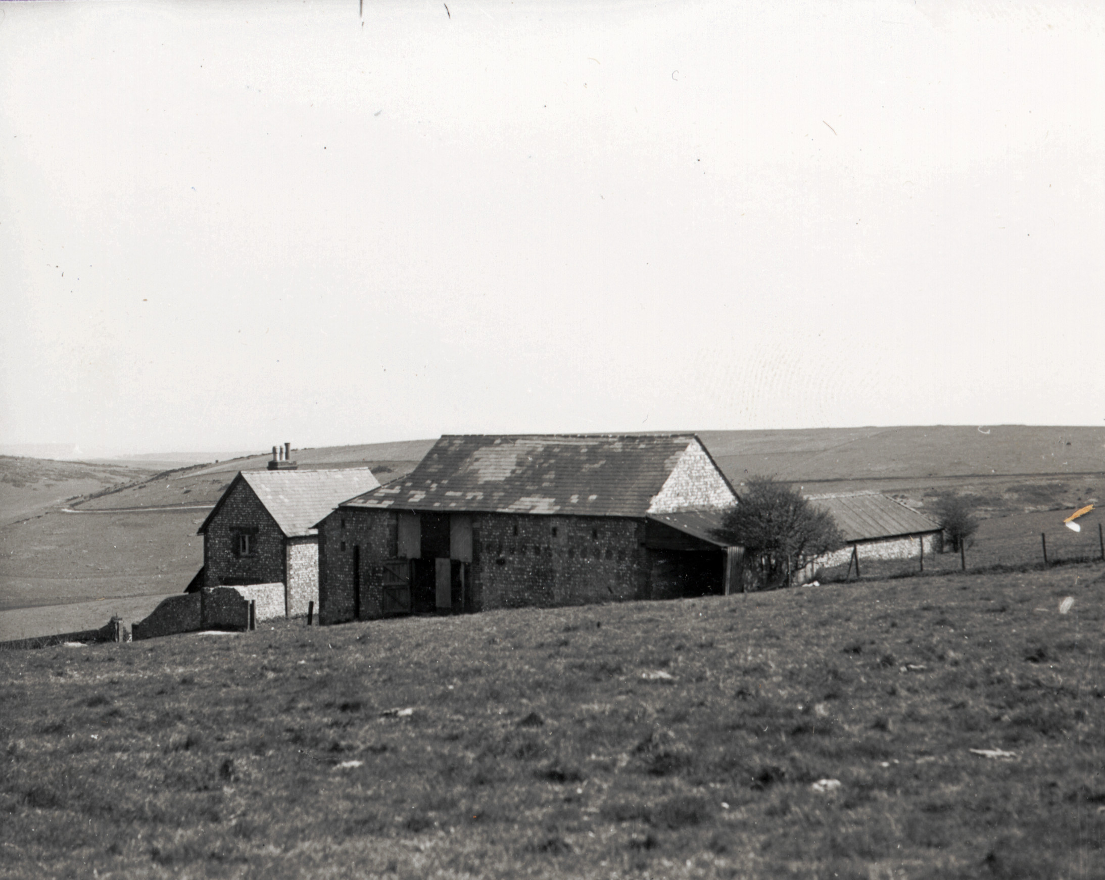 Newmarket Farm photo possibly taken in about 1924. From a collection of photos by Capt. Bertie Hubbard Maclaren. Brighton & Hove Royal Pavilion and Museums, ref. HA930078.