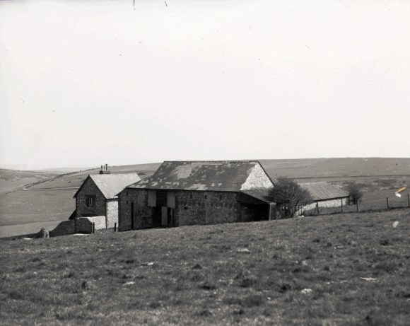 Newmarket Farm photo possibly taken in about 1924. From a collection of photos by Capt. Bertie Hubbard Maclaren. Brighton & Hove Royal Pavilion and Museums, ref. HA930078.