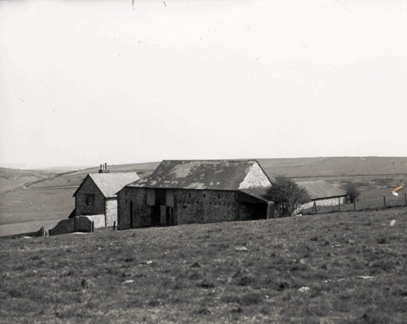 Newmarket Farm photo possibly taken in about 1924. From a collection of photos by Capt. Bertie Hubbard Maclaren. Brighton & Hove Royal Pavilion and Museums, ref. HA930078.