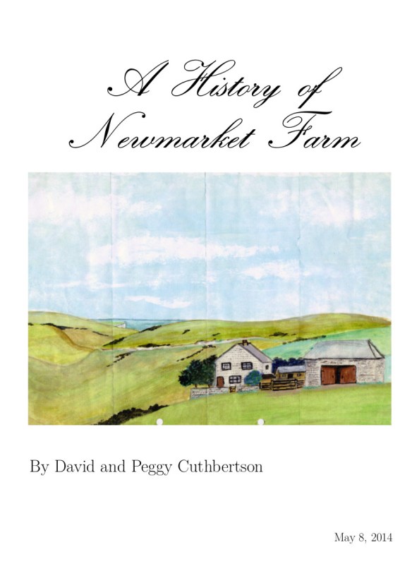 The front cover of a draft copy of my (and my mum's) book