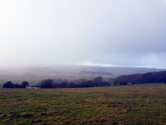 Newmarket and Crandean Plantations; site of WW2 Dakota crash